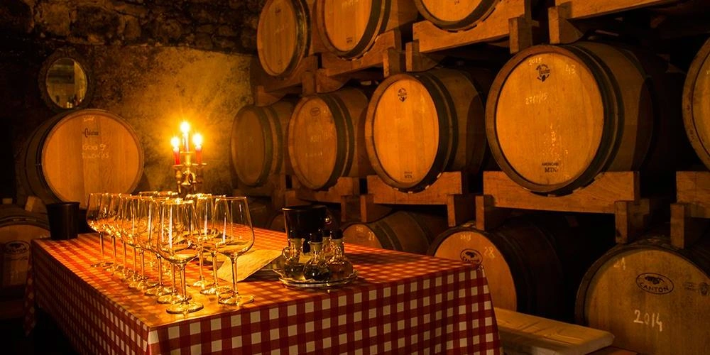 Hvar Wine & Olive Tour